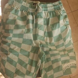 Ripndip Mint Green Checkered Swim Trunks